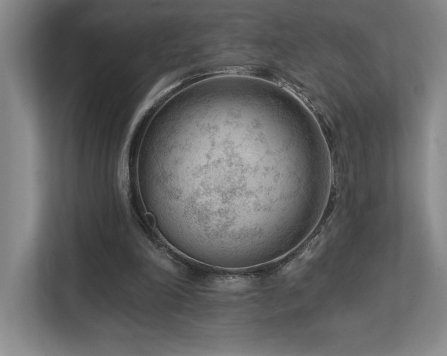 X0000112740198200908201353