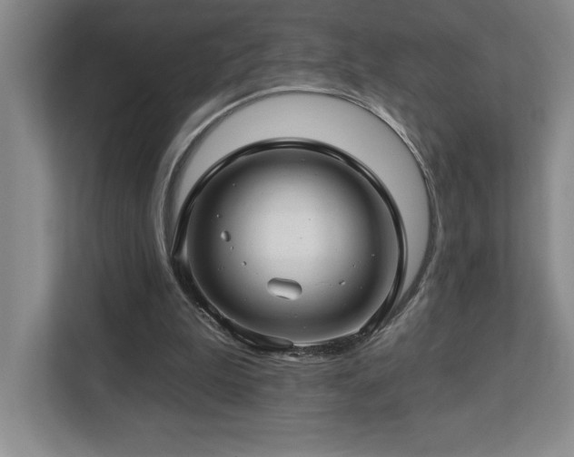X0000112740199200908201353
