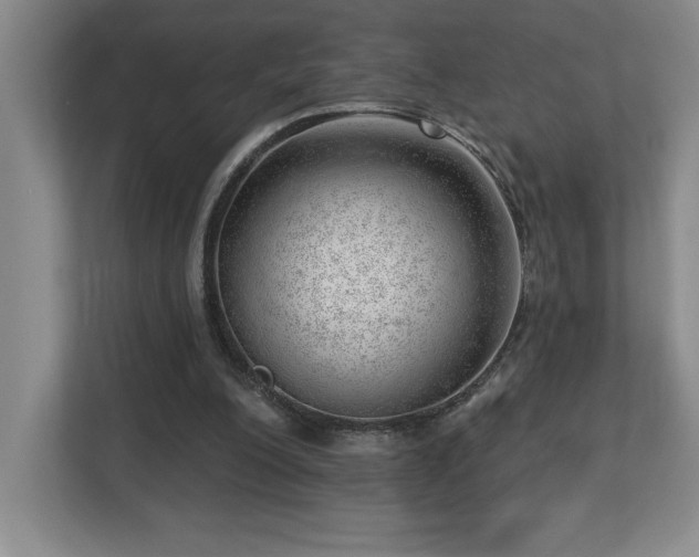 X0000112740200200908201353