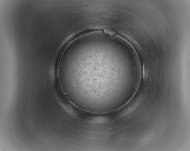 X0000112740204200908201353