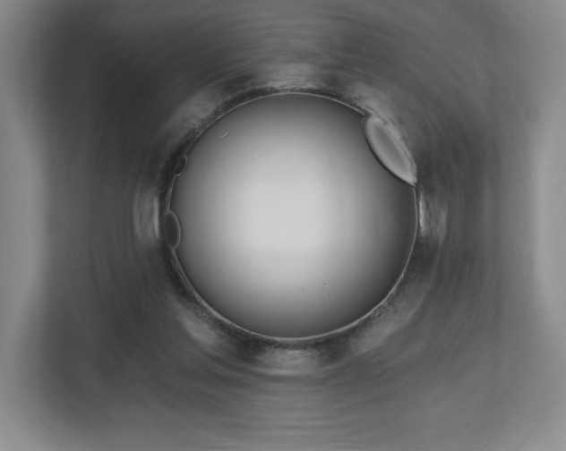 X0000112740205200908201353