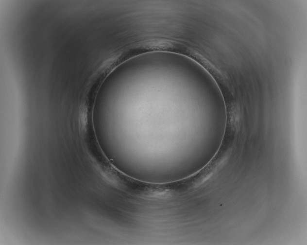X0000112740206200908201353