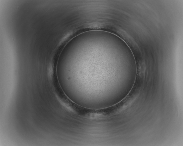 X0000112740208200908201353