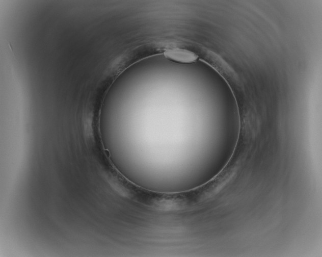 X0000112740209200908201353