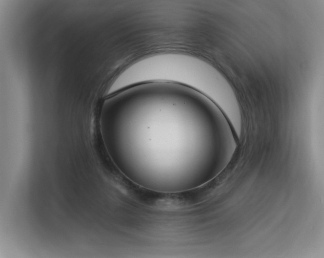 X0000112740211200908201353