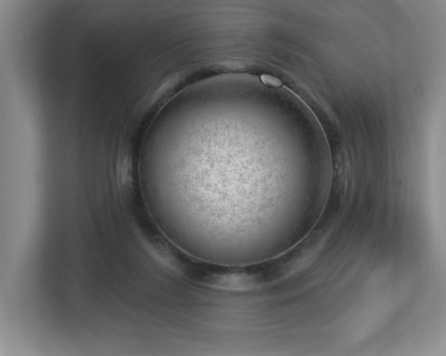 X0000112740212200908201353