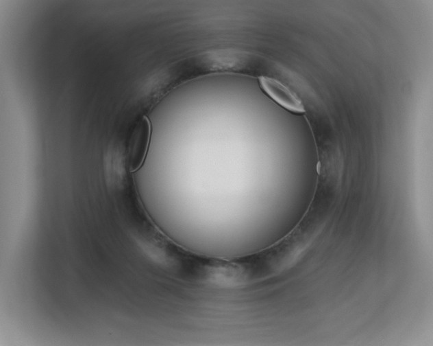 X0000112740215200908201353