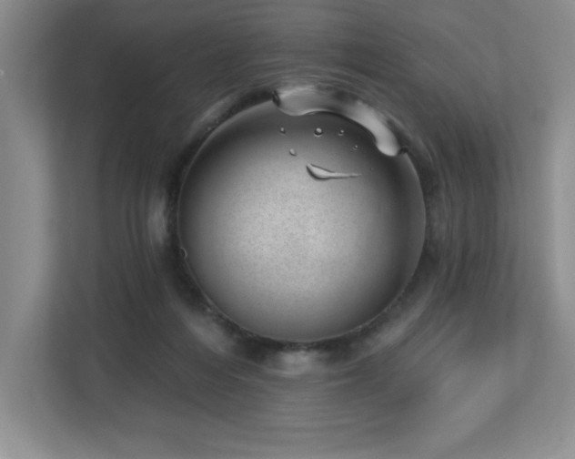 X0000112740216200908201353