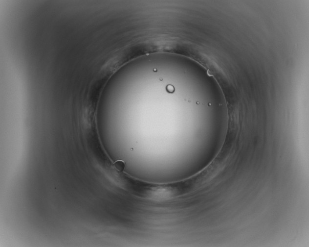 X0000112740218200908201353