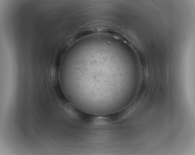 X0000112740222200908201353