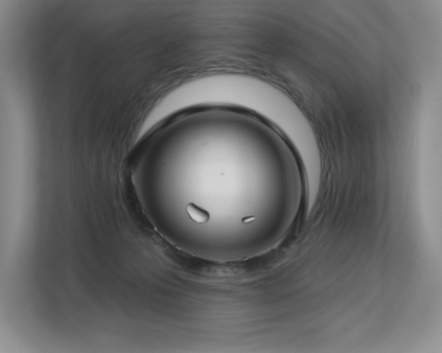 X0000112740223200908201353