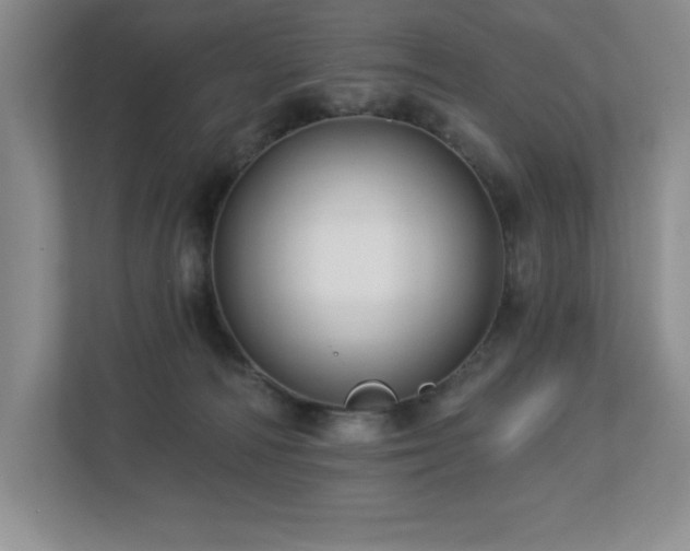 X0000112740226200908201353