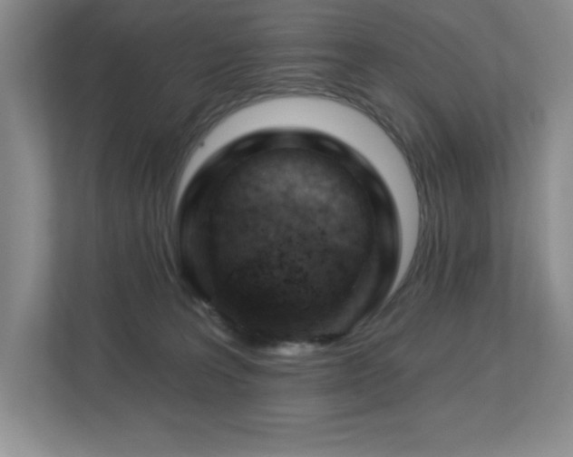 X0000112740227200908201353