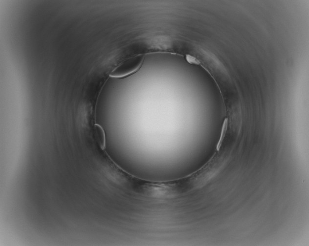 X0000112740229200908201353