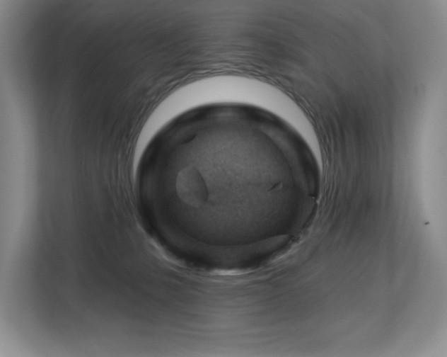 X0000112740231200908201353