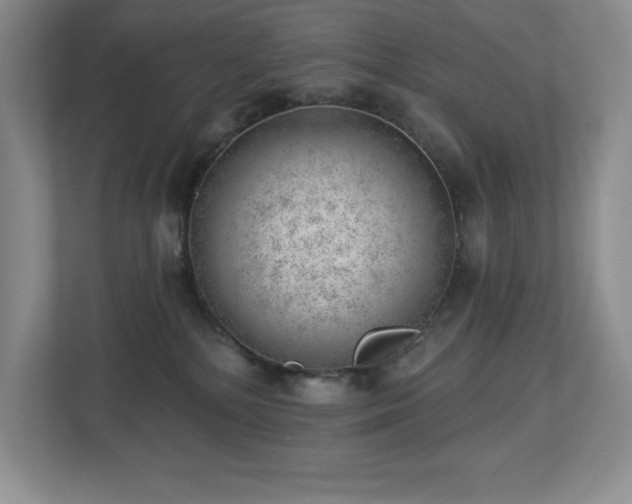 X0000112740232200908201353