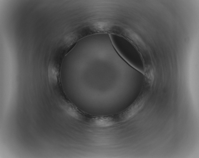 X0000112740235200908201353