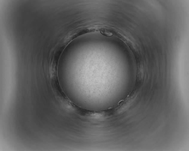 X0000112740236200908201353