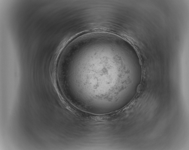 X0000112740241200908201352