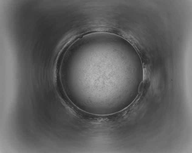 X0000112740243200908201352