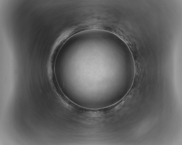 X0000112740245200908201352