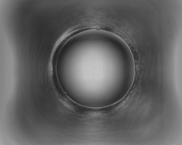 X0000112740246200908201352