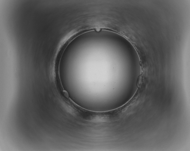 X0000112740248200908201352