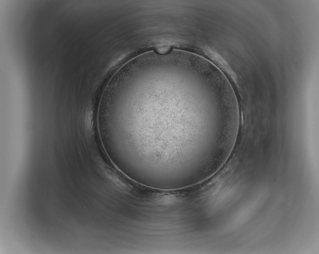 X0000112740249200908201352