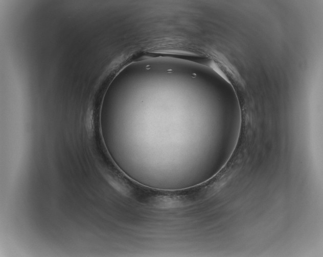 X0000112740250200908201352