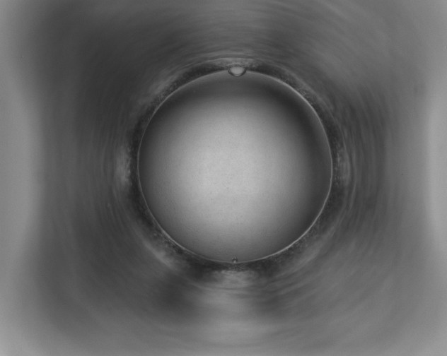 X0000112740255200908201352