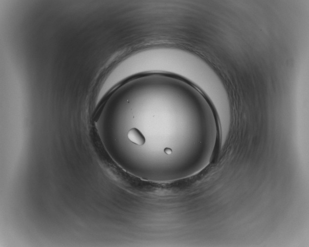X0000112740256200908201352
