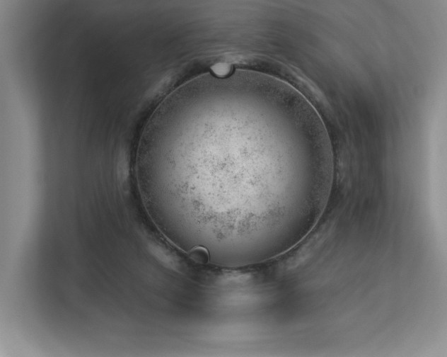 X0000112740257200908201352