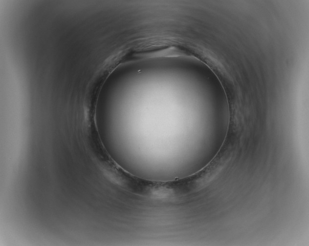 X0000112740258200908201352