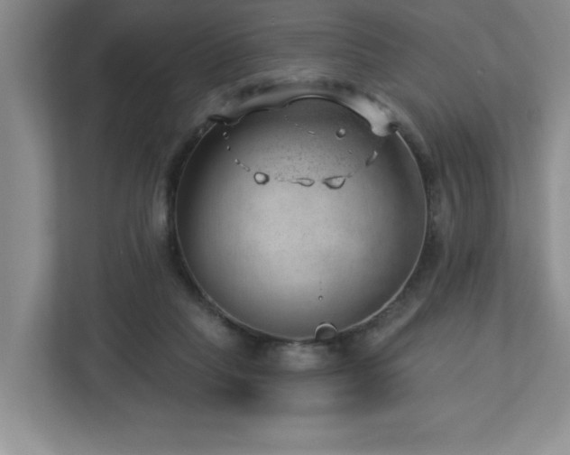 X0000112740261200908201352