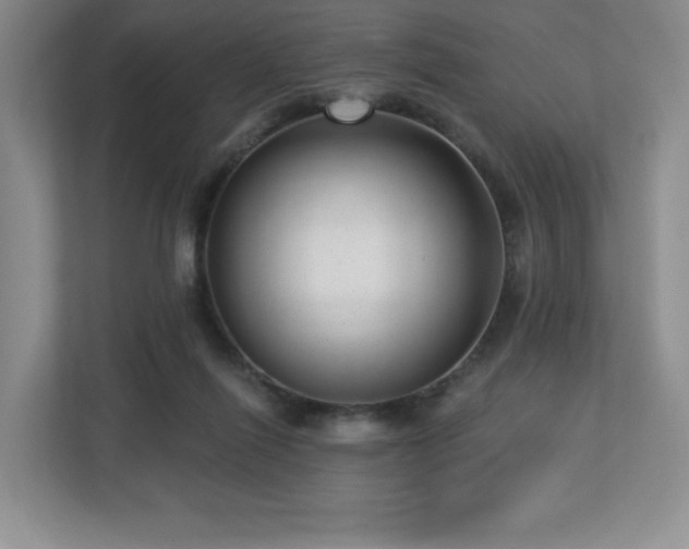 X0000112740262200908201352