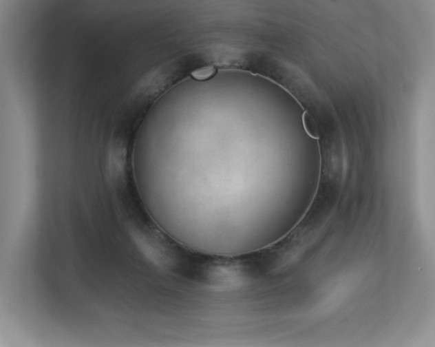 X0000112740263200908201352