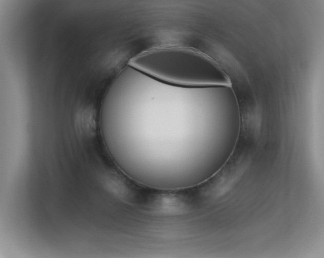 X0000112740264200908201352