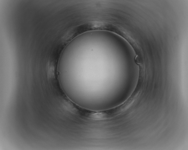 X0000112740269200908201352