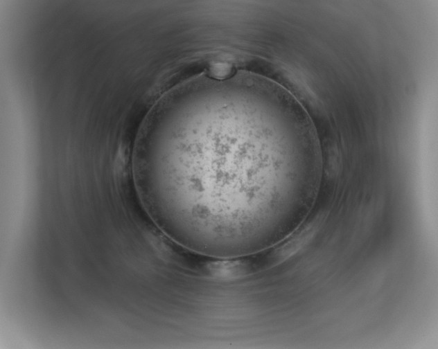 X0000112740273200908201352