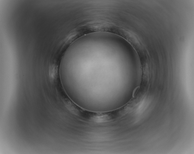 X0000112740278200908201352