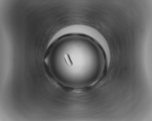 X0000112740280200908201352