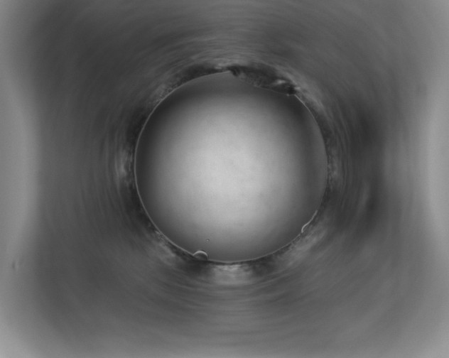 X0000112740281200908201352