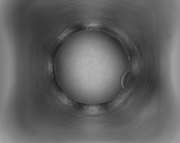 X0000112740282200908201352