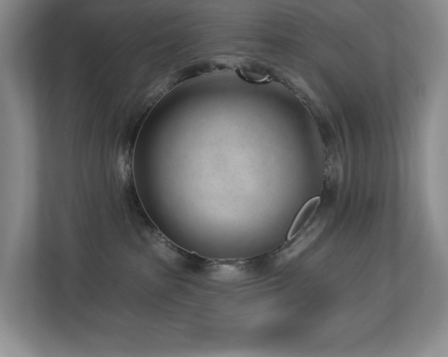 X0000112740285200908201352