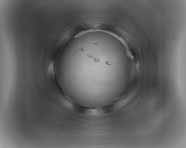 X0000112740286200908201352