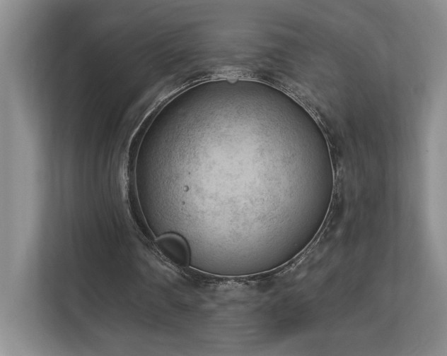 X0000112740290200908201352