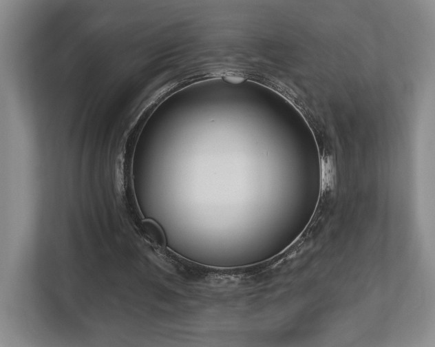 X0000112740291200908201352