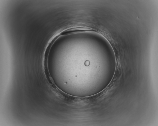 X0000112740292200908201352
