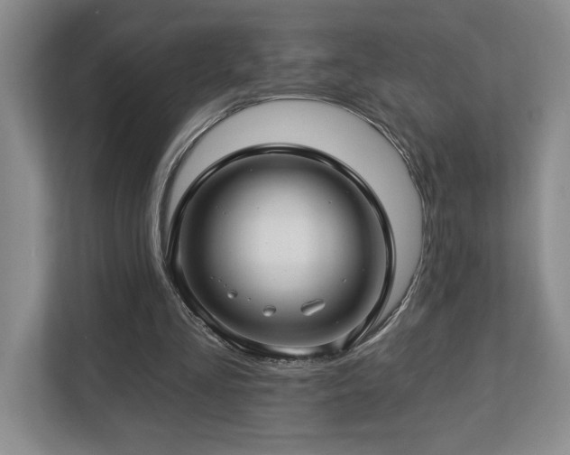 X0000112740293200908201352