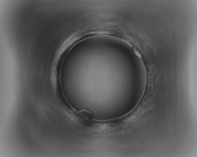 X0000112740295200908201352